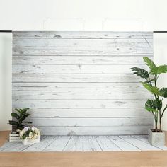 two potted plants are sitting in front of a white wooden paneled wall with black wires