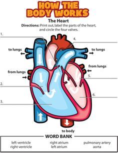 the human heart with labels on it showing how to perform and how to use it