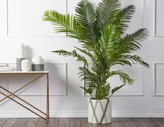 a potted plant sitting on top of a wooden table next to a white wall