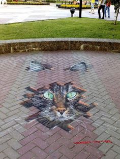 a cat's face is drawn on the ground in front of a brick walkway