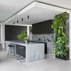 a kitchen with an island and plants growing on the wall next to it's counter top