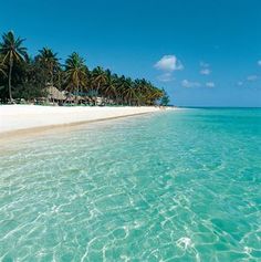 the beach is surrounded by palm trees and clear blue water, with an abc sign in the foreground