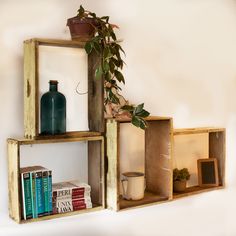 three wooden shelves with books and plants on them