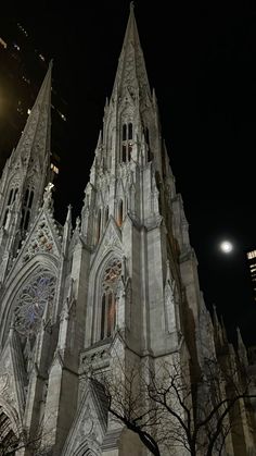 the large cathedral is lit up at night