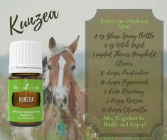 Young Living Recipes, Essential Oils Dogs, Essential Oil Combinations, Essential Oils 101, Essential Oil Companies, Young Living Essential Oils Recipes, Yl Oils