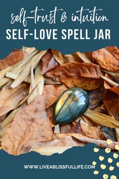 Ignite the magic of self-love with these enchanting self love spell jars! Uncover mesmerizing spell jars self love recipes to create your own magical concoctions, perfect for boosting self-compassion and kindness. Tap now to delve into the world of spell jars and manifest love for yourself like never before! 💖🔮✨ Ultimate Banana Bread Recipe, Love Spell Jar, Running On Empty, Fall Cocktails Recipes, Easy Pumpkin Carving