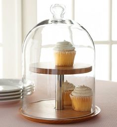 two tier glass dome with cupcakes under it