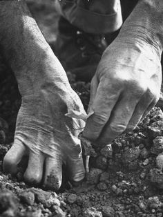 a man is digging in the dirt with his hands