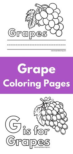 Two black and white coloring pages with bunches of grapes with a purple rectangle in the middle with white text overlay. G Is For Grapes, Black And White Designs