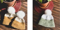 two photos side by side one has a potted plant and the other is a pair of mittens