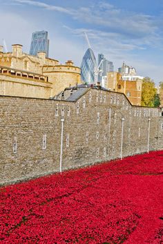 Saatchi Art Artist ; Photography; "Tower of London Poppies Seas of Red" #art Red Photography, Remembrance Day, Red Art, Canvas Acrylic, Paper Artist