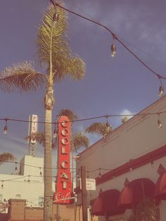 a palm tree in front of a building with lights hanging from it's sides