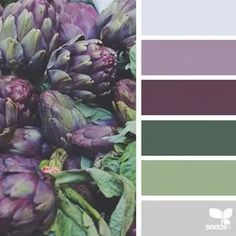 purple artichokes with green leaves are displayed in the color palette for this photo