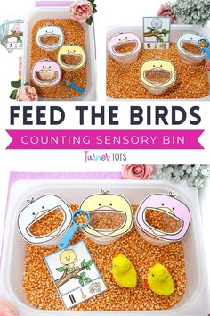 feed the birds counting and sorting activity for toddlers