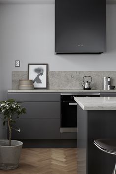 a kitchen with a potted plant on the counter