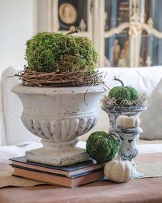 two white vases with moss on top of them sitting on a table in front of a couch