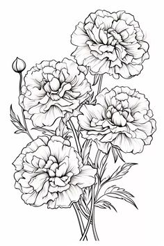 some flowers are drawn in black and white