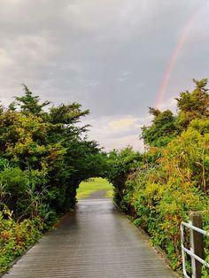 a wooden walkway leading to a rainbow in the distance with trees and bushes lining both sides