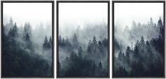 three panels with trees and fog in the background