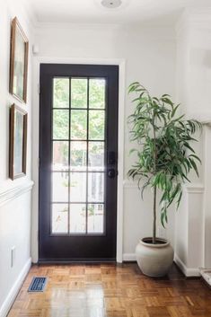 a potted plant sitting in front of a door on a hard wood floor next to a fireplace