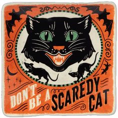 a black cat with green eyes is on an orange and white sign that says don't be a scared cat