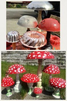 several different types of mushrooms on display in the grass