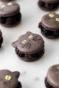 chocolate cat cookies with blackberries and gold eyes on white counter top, ready to be eaten