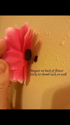 someone is holding a pink flower in front of a yellow wall with words on it