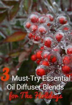 Essential Oil Diffuser Blends for The Holidays Diy Cleaning Spray, Doterra Blends, Homemade Lotion, Christmas Entertaining, Diffuser Recipes, Natural Cleaning, Essential Oil Diffuser Blends, Oil Diffuser Blends, Organic Living