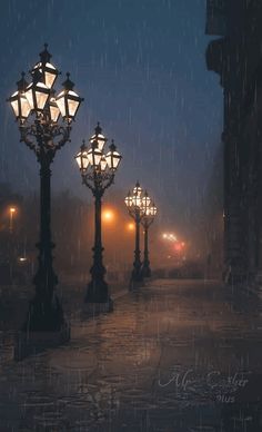 the street lights are lit up in the rain