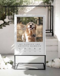 a sign with a dog on it that says, my humans are getting married in front of some stairs