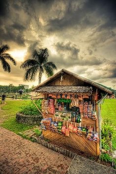 a small hut sitting in the middle of a lush green field with palm trees behind it