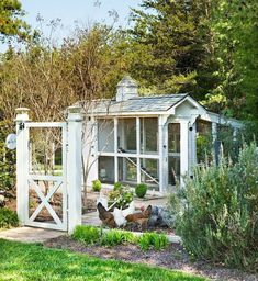 a chicken coop in the middle of a yard