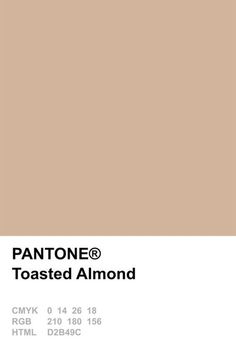 pantone's toasted almond color is shown with the words, tone and background