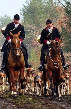 two men riding horses with dogs following them