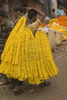 a man standing next to a bunch of yellow flowers