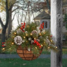 The Frosted Berry hanging basket is a mixed branch decoration with snow sprinkled tips featuring red berries and pine cones. It is pre-strung with 50 battery-operated warm white LED lights that are energy-efficient and long lasting. 6 hours on/18 hours off timed operation. Steel wire cage construction with linked chain and hook included. Hang this unique holiday decoration in indoor or covered outdoor locations. National Tree Company 11-in Lighted Greenery Ball Battery-operated Christmas Decor | Christmas Hanging Baskets, Artificial Hanging Baskets, Dollar Diy, Christmas Plants, Hanging Flower Baskets, Christmas Hanging, Christmas Baskets, Christmas Porch, Fall Outdoor