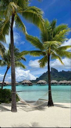 hammock between two palm trees on the beach