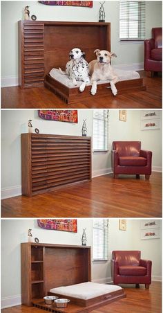 two dogs sitting on top of a bed in a room with wooden floors and furniture