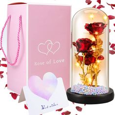 PRICES MAY VARY. 🌹 Just for You Flowers: The beauty and beast rose set comes with exquisite packaging gift boxes and cards, so you don't need to spend time on packaging. During transportation, EPE is used as filler for comprehensive protection, shockproof and compression resistance. 🌹 Safe Material: The dome glass is made of high borosilicate glass, which is crystal clear, hard and more transparent. The base is made of black plastic. As the central decoration of living room or bedroom, it is e Beauty And Beast Rose, Rose Galaxy, Galaxy Rose, Beauty And The Beast Rose, Decoration Of Living Room, Rose Dome, Rose Gifts, Eternal Rose, Bedroom Decor Lights