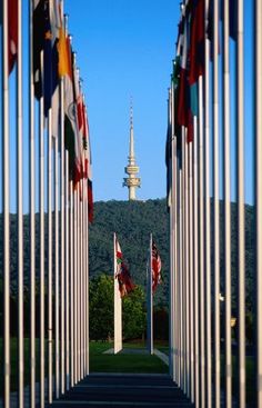 many flags are lined up along the walkway