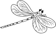 a black and white drawing of a dragonfly