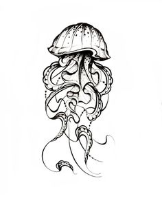 an ink drawing of a jellyfish