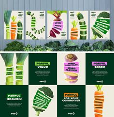 brochure adverts with different vegetables and their names on them, including carrots