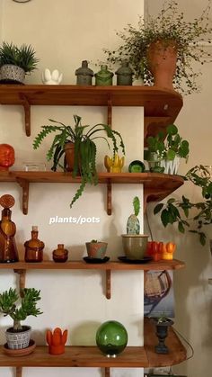 some shelves with plants and pots on them