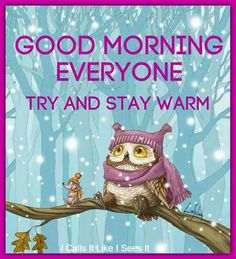 an owl sitting on top of a tree branch with the words good morning everyone try and stay