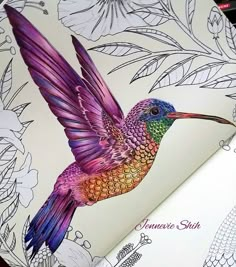 a drawing of a hummingbird on top of a coloring book