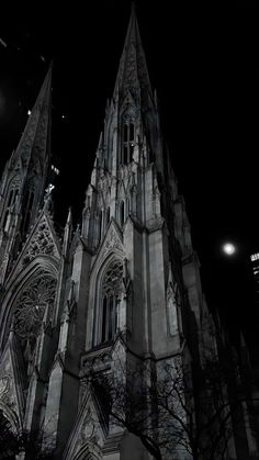 an old gothic cathedral lit up at night