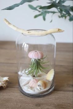 a glass jar filled with sand and sea shells on top of a wooden table next to a plant