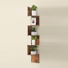 three wooden shelves with plants and pictures on them